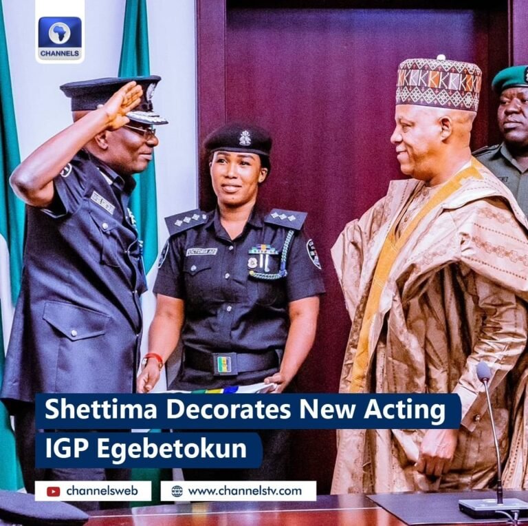 I feel like a tiger ready to devour criminals — Acting IGP Egbetokun