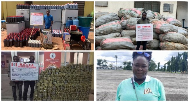 NDLEA Seizes 4,560kg Skunk In Lagos, Adamawa, Osun