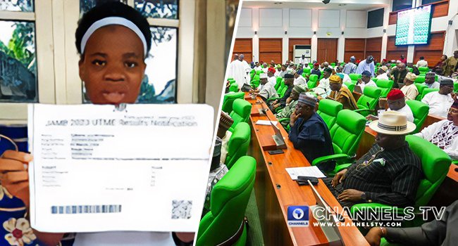 Mmesoma: Reps Ask JAMB To Stay Action, Set Up Probe Committee