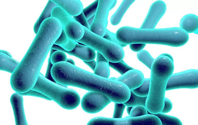 Diphtheria: Kano worst affected as Nigeria records 836 confirmed cases, 80 deaths