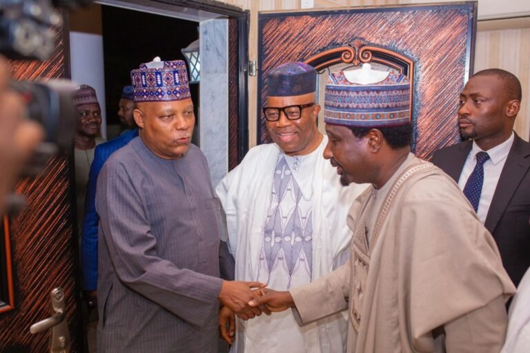 Deputy Senate President Barau Salutes Shettima At 57