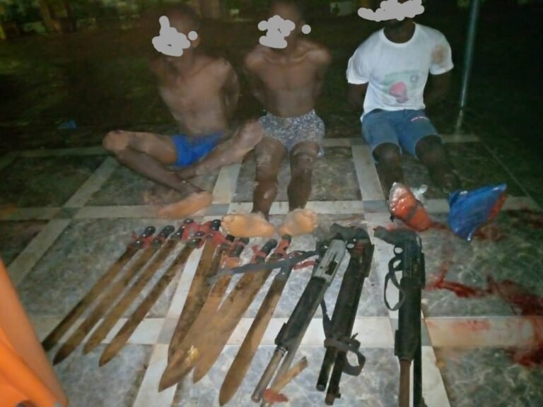 Enforcement of Illegal Sit-at-Home: 3 Hoodlums Killed in Enugu