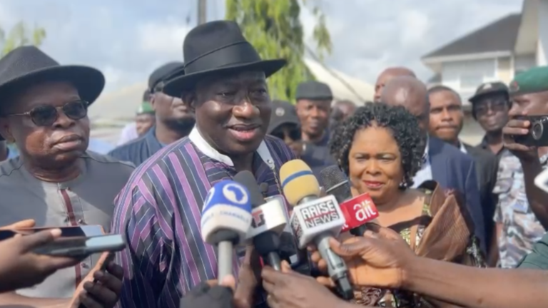 Block Off-Season Elections, Jonathan Tells NASS