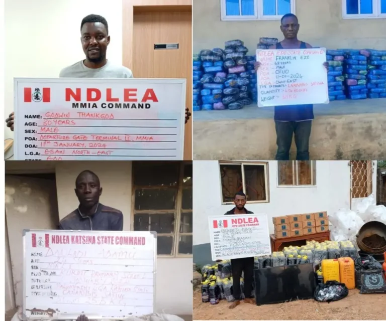 NDLEA intercepts large consignment of Canadian loud, UK, Italy-bound opioids in Lagos