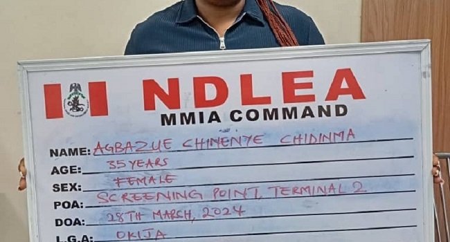 NDLEA Intercepts Qatar-Bound Illicit Drugs Concealed In African Salad, Dried Vegetables