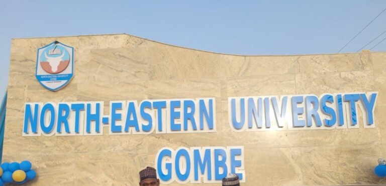 ‘Why We Renamed Pen Resource To North-Eastern University’
