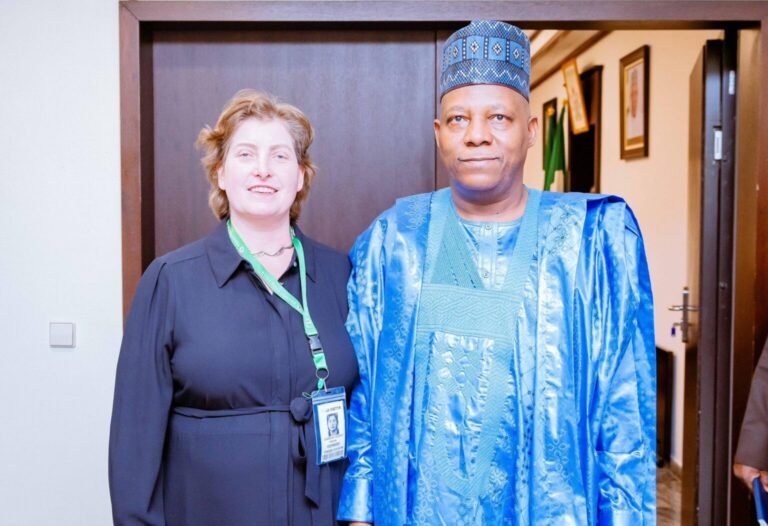 Nigeria Will Become Major Global Economic Force Under Tinubu – VP Shettima