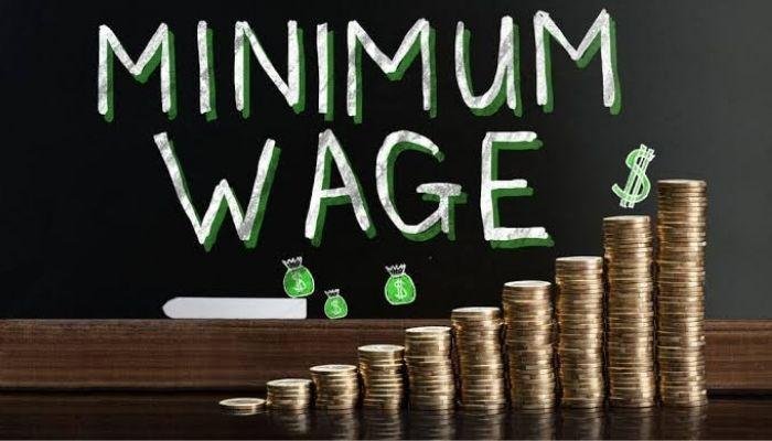 Why We’ll Backdate New Minimum Wage Payment To July – FG