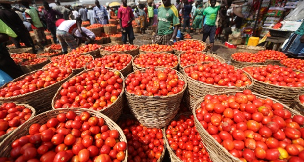 Nigeria’s Inflation Rate Slowed To 32.15% In August — NBS