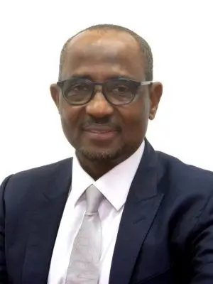 Reps To Tinubu: Suspend NMDPRA Boss For ‘Unguarded Comments’ On Dangote Refinery