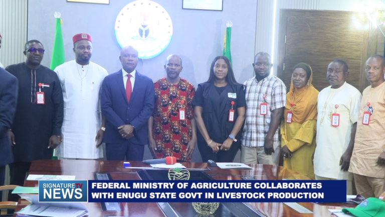 FEDERAL MINISTRY OF AGRICULTURE COLLABORATES WITH ENUGU STATE GOVT IN LIVESTOCK PRODUCTION – WATCH VIDEO
