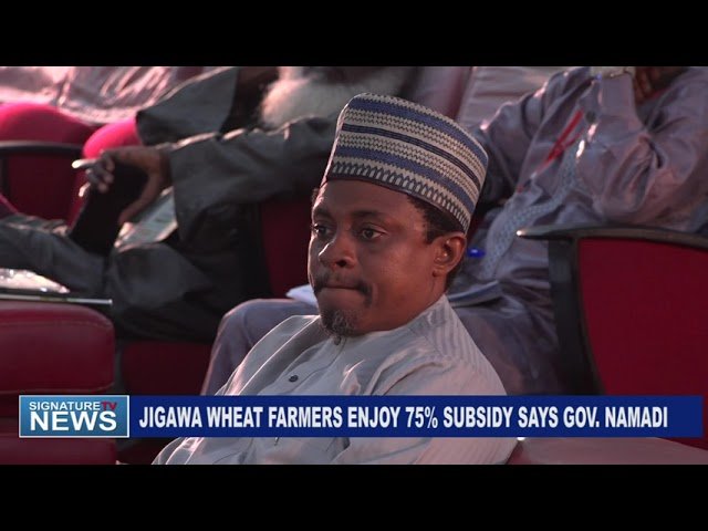 Jigawa Wheat Farmers Enjoy 75% Subsidy, Says Gov. Namadi