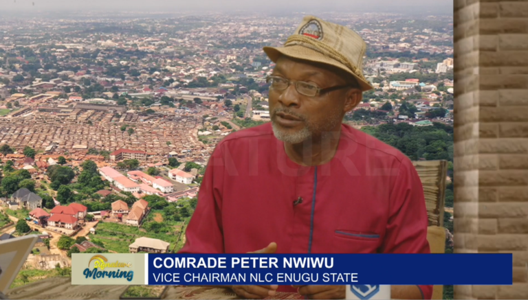 HIKES OF TARRIFS IN NIGERIA & ORGANIZED LABOUR BY COMRADE PETER NWIWU – WATCH VIDEO