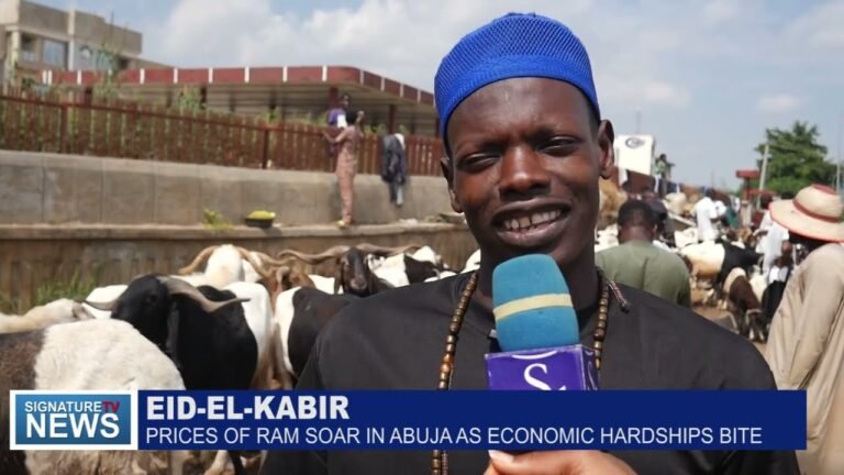 EID- EL-KABIR: PRICES OF RAM SOAR IN ABUJA AS ECONOMIC HARDSHIPS BITE – WATCH VIDEO