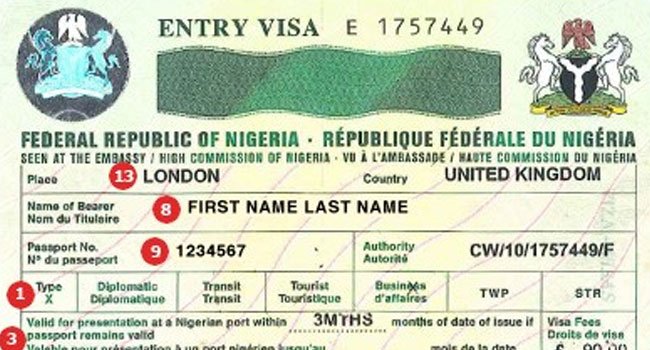 Tinubu Did Not Suspend Five-Year Visa For US Citizens — Presidency