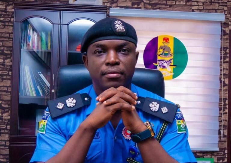Police Yet To Receive Court Order On Tinted-Glass Permits – FPRO