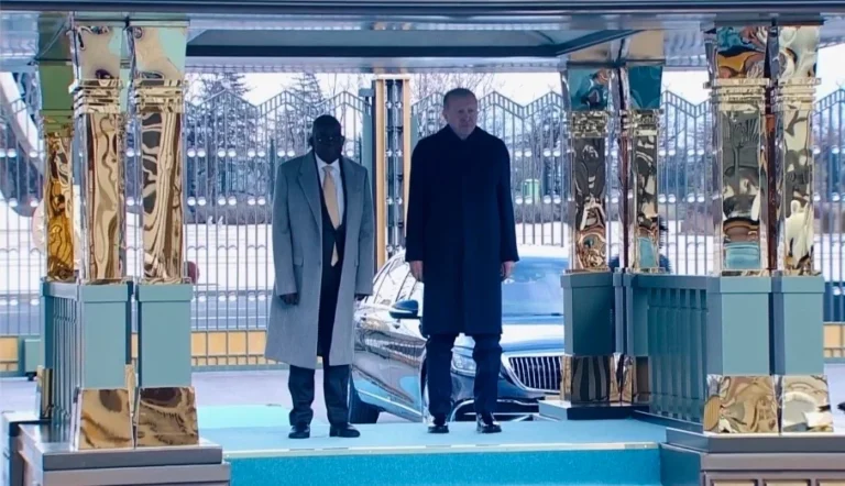 Tinubu Stumbles During Reception in Türkiye