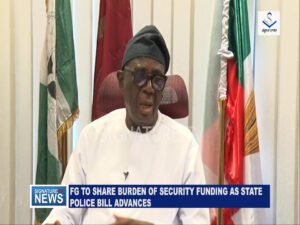 FG TO SHARE BURDEN OF SECURITY FUNDING AS STATE POLICE BILL ADVANCES — FADAUNSI