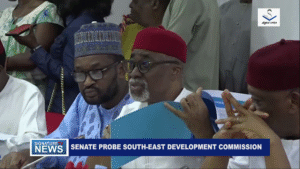 SENATE PROBES SOUTH-EAST DEVELOPMENT COMMISSION OVER ₦16.6 BILLION – WATCH VIDEO