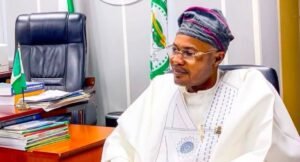 PFIPC scandal : How fake agency got smuggled into budget – Adeniyi