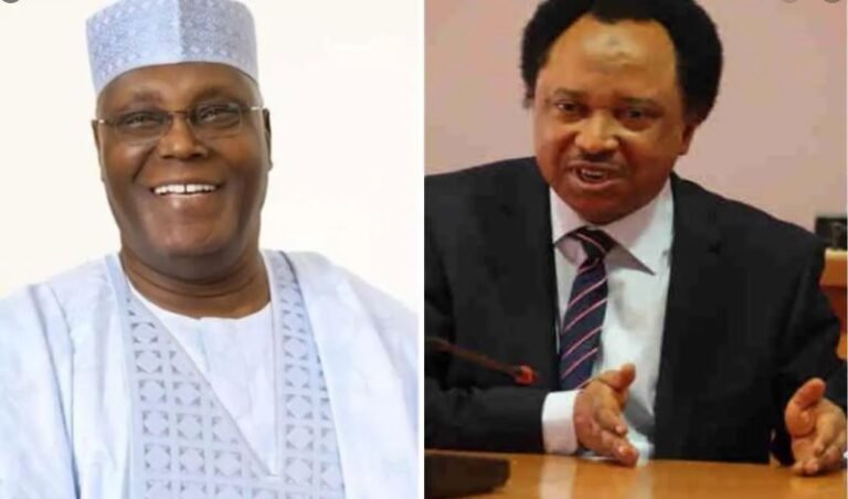 Atiku’s aide tackles Shehu Sani for condemning US lobbying against Tinubu