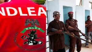 NDLEA arrests couple over drug warehouse in Edo